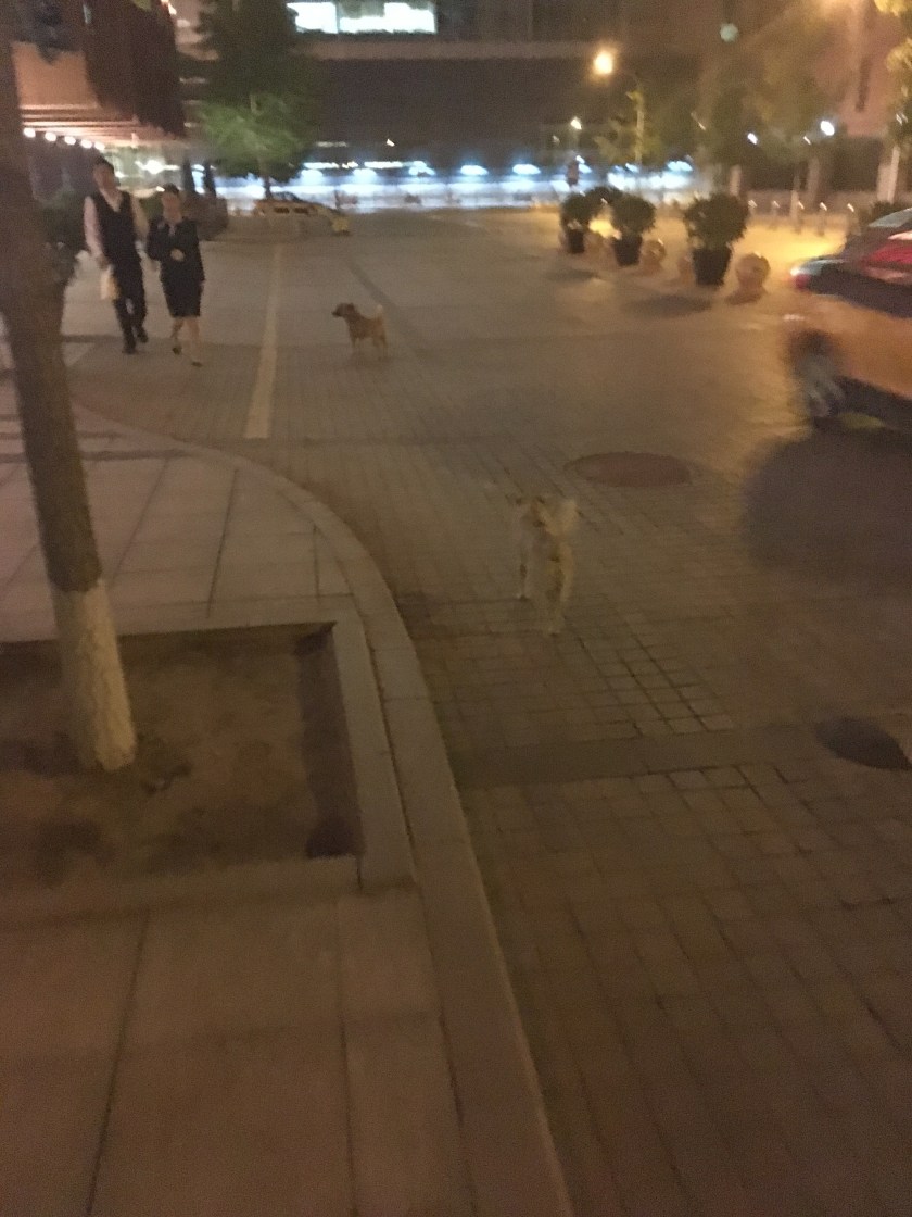 8DD7C23B-185D-41CD-BCE3-6A9047E32727